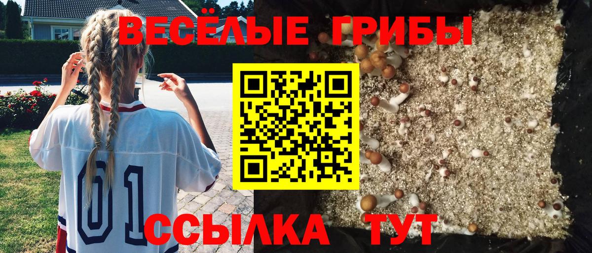 купить наркотик  Псилоцибиновые грибы Psilocybe  Якутск  Вход с VPN  Галлюциногенные грибы MAGIC MUSHROOMS 