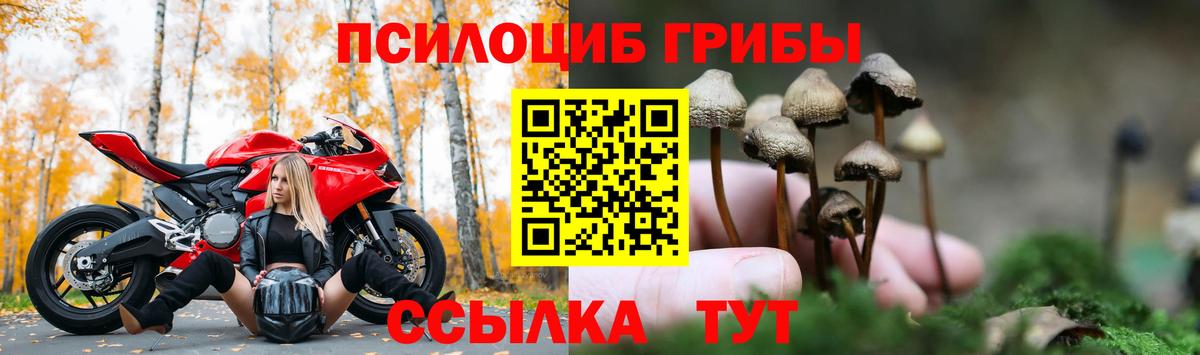 Галлюциногенные грибы мицелий Якутск